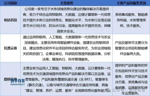 2024-2030年軟件和信息服務行業專項調研及投資前景預測分析報告